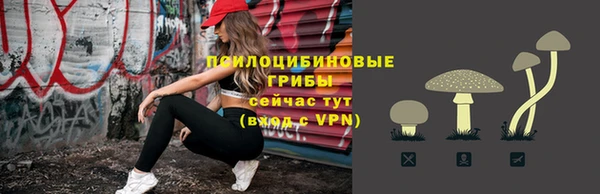 spice Абаза