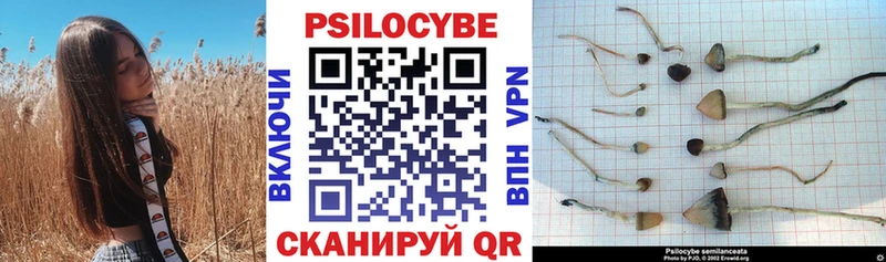 darknet клад  Ясный  Галлюциногенные грибы прущие грибы  где купить наркоту 